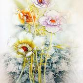 朵朵花