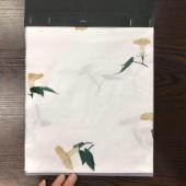 喇叭花