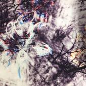 《现货》花与树 梭织数码印花夹克棉服面料