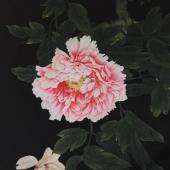 《现货》数码印花外套夹克风衣面料