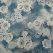 玫瑰花