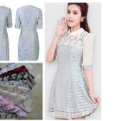 针织锦棉时尚女装面料 经编蕾丝面料