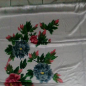 定位印花 色丁