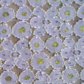 高档金线锦氨蕾丝面料 秋冬保暖蕾丝布料 女装蕾丝裙面料