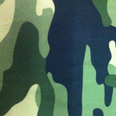 鸟眼布迷彩印花