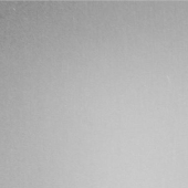 最新T/R/SP双面布