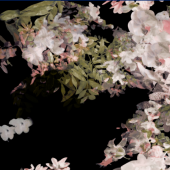 数码印花