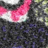 珍珠绒 毛衣 玫瑰花 卫衣款 女款