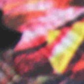 花朵印花 女装 童装 双面布 涤纶面料