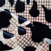 现货梭织缎纹印花布全棉奶牛纹服装面料舒适透气轻薄