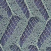 现货供应涤纶网布8220时尚女装面料