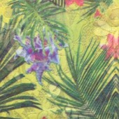 蕾丝印花