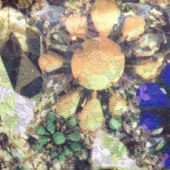 蕾丝印花