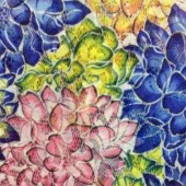 蕾丝印花