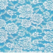 新款蕾丝面料 双色女装蕾丝 蕾丝 电脑版蕾丝锦棉蕾丝股线蕾丝面料