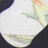 立体印花 花朵 真数码印 空气层 3D印花 菊花