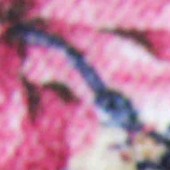 化纤面料 毛衫 打底裤 打底衫 针织印花 碎花 花朵 女装