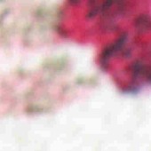 化纤面料 毛衫 打底裤 打底衫 针织印花 花朵 涤纶面料