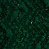 现货供应涤纶网布8001秋冬时尚女装童装蕾丝面料