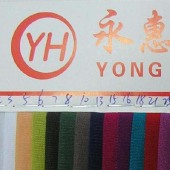 供应锦氨纶网眼布 锦亚光网眼布 40D肖光 锦氨纶韩国网网眼布