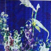 新款 蕾丝印花面料 品质有保障 价格实惠
