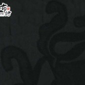 现货布衣纺色织提花梭织大提花面料F05359-1