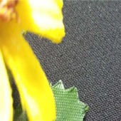 供应 30S单纱TR 双层平纹纬弹面料