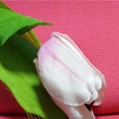 供应 25S 21S TR 双层平纹纬弹面弹