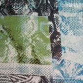 26S气流纺人棉 蟒蛇纹印花汗布165GSM 160CM