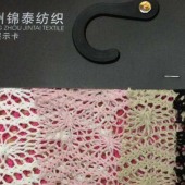时尚涤纶网状女装针织蕾丝面料