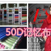 现货大量批发 细腻高密羽绒服面料50D仿记忆