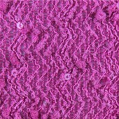 现货供应时尚女装针织提花面料 涤纶网眼布 2030#