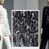 女装面料 激光绣花 绣花 婚纱礼服面料 刺绣网纱绣花蕾丝面料布料