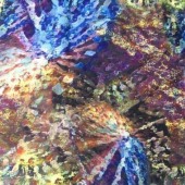 全涤T400转移印花
