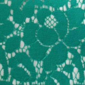 订做 棉锦蕾丝花边 蕾丝网布 蕾丝布 时尚女装裙装家居服面料