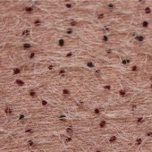 秋冬粗针针织圈圈布成分T92 N8男女装服饰