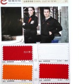 全棉厚珠帆 职业装 工装 秋冬服装 特种行业面料