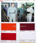涤棉纱卡T80/C20 职业装 工装 秋冬服装 特种行业面料