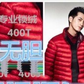 20D尼丝纺锁绒技术【正宗无胆410T尼丝纺】轻薄羽绒服面料