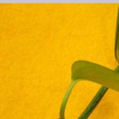 700g/m 30%w 秋冬爆款女装 毛呢面料 阿玛呢 针织面料