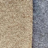 现货230GSM小蚂蚁大蚂蚁布沙发 服装服饰用布玩具泰迪绒现货