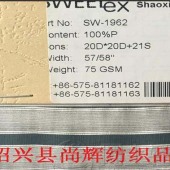 20D*20D+21S 全涤条子面料厂家直销