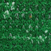 P498晴/涤提花法国罗纹针织布 特纺