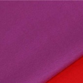 厂家批发秋季新款全棉拉架双面布汗布棉毛布童装西装T恤服装面料