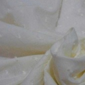 全棉小剪花 60x60 90x88 服装服饰工艺品等面料