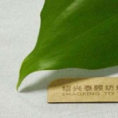 T80%R20%16*16 56*48 1/1 平纹毛边大化