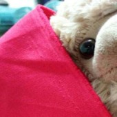 T80%/R20%32/2*32/2 56*52 63 平纹毛边