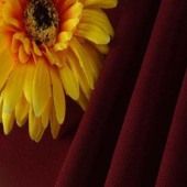 现货供应 锦棉罗马布磨毛 套装 打底裤