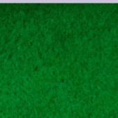 凤凰呢 针织毛呢面料 含羊毛毛纺面料 多色系供应