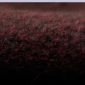 供应700克针织圈圈呢 30W 毛纺面料 毛呢面料 5004#